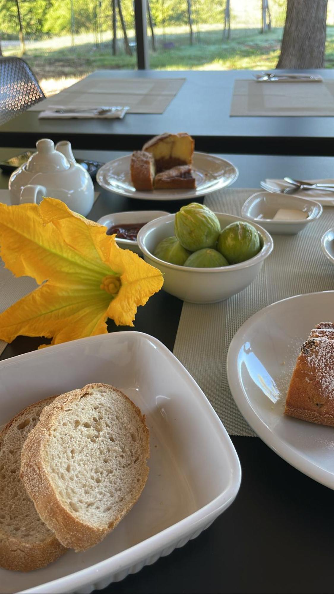 Agriturismo Con Cucina Il Favaio 파치아노 외부 사진