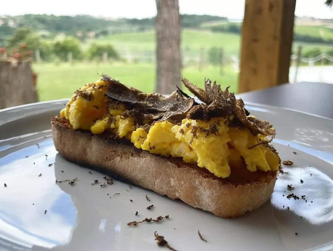 Agriturismo Con Cucina Il Favaio 파치아노 외부 사진