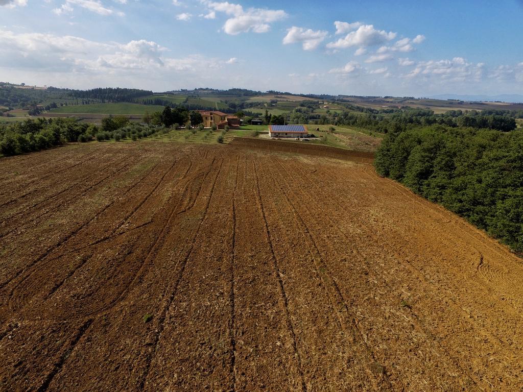 Agriturismo Con Cucina Il Favaio 파치아노 외부 사진